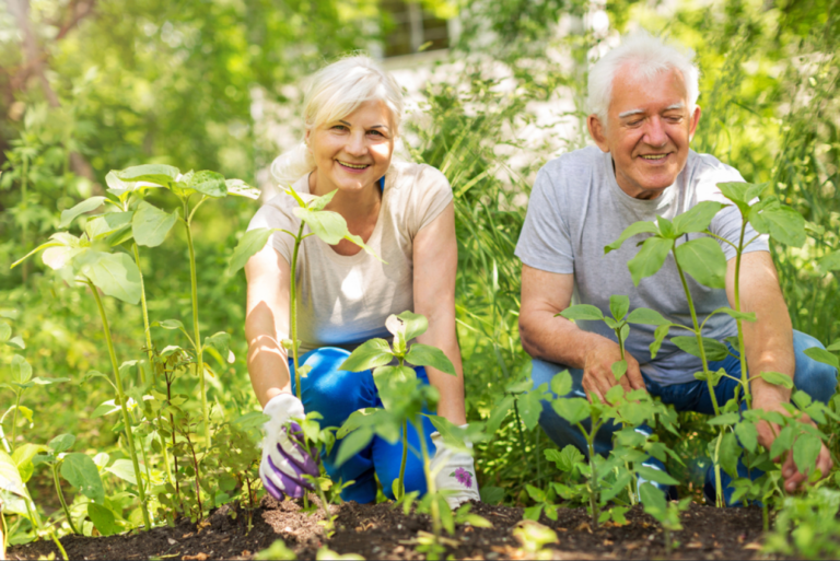 Qué servicios ofrece la Residencia del Sol para adultos mayores 25 adultos mayores disfrutando en un jardin