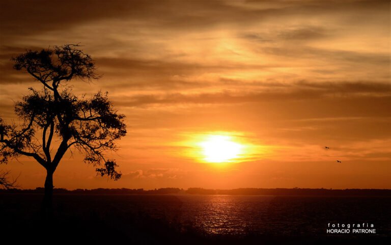Cómo planificar un viaje a la Isla Martín García 29 atardecer en la isla martin garcia
