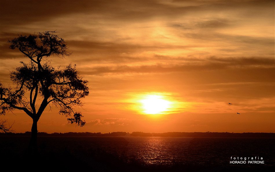 Cómo planificar un viaje a la Isla Martín García 7 Cómo planificar un viaje a la Isla Martín García
