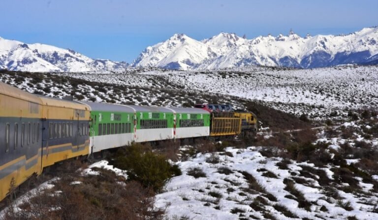 auto en tren atravesando paisajes patagonicos