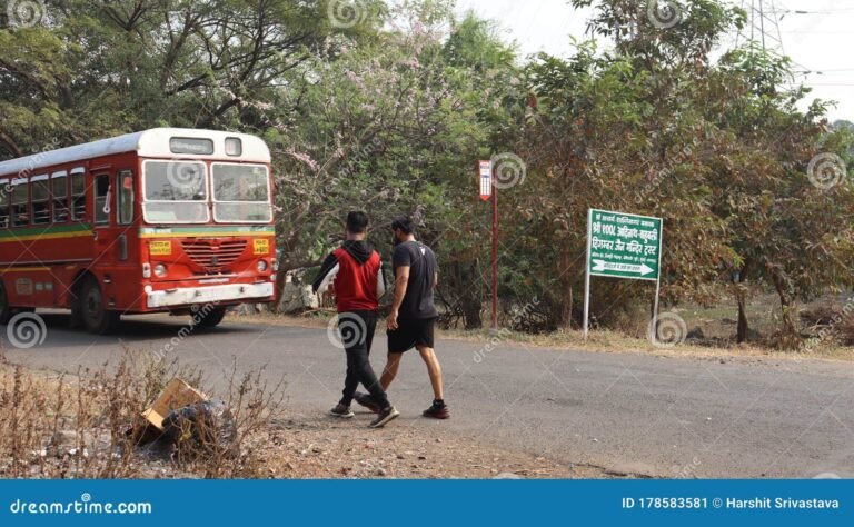 Cuál es la mejor aplicación para saber cuándo llega el colectivo 2 autobus llegando a una parada transitada