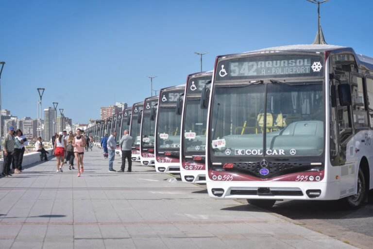 autobus urbano circulando por mar del plata