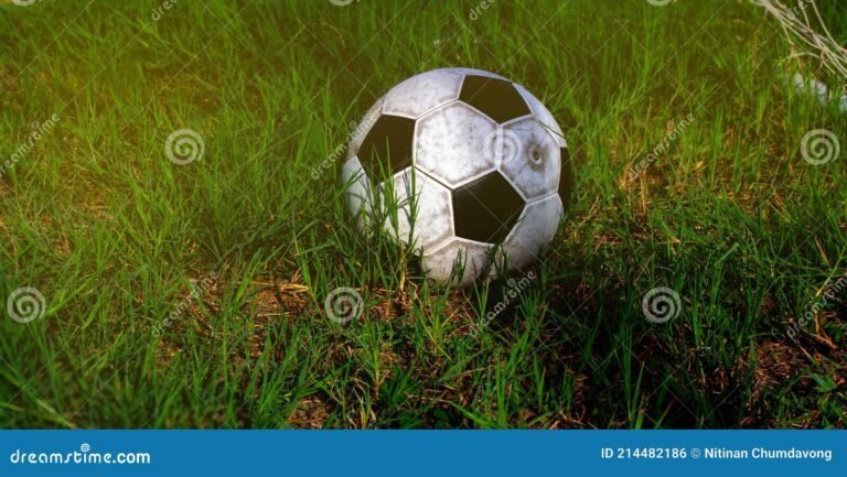 balon de futbol en un campo verde
