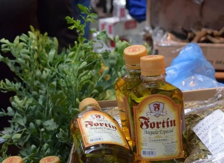 Cuándo y por qué se toma caña con ruda en Argentina 10 botellas de cana con ruda en una mesa