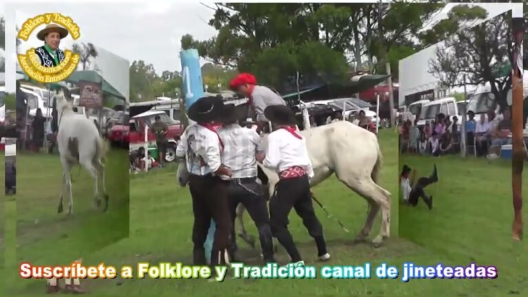 caballos en accion en festival folklorico