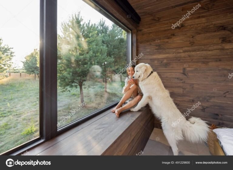 Dónde encontrar cabañas pet friendly en Tandil para disfrutar con tu mascota 26 cabana acogedora con perro en la naturaleza