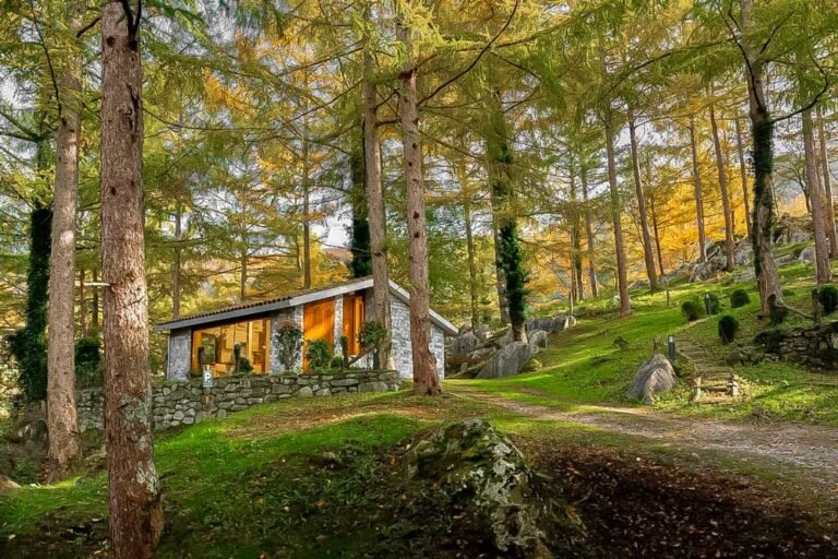 Dónde encontrar cabañas para pasar el día en la naturaleza 13 cabana acogedora en un bosque natural
