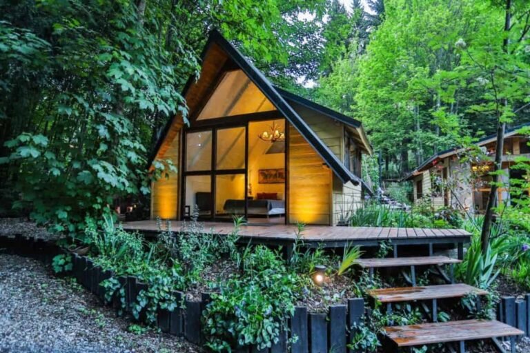 cabana acogedora en un bosque patagonico