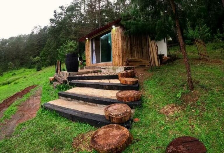 cabana romantica en el bosque