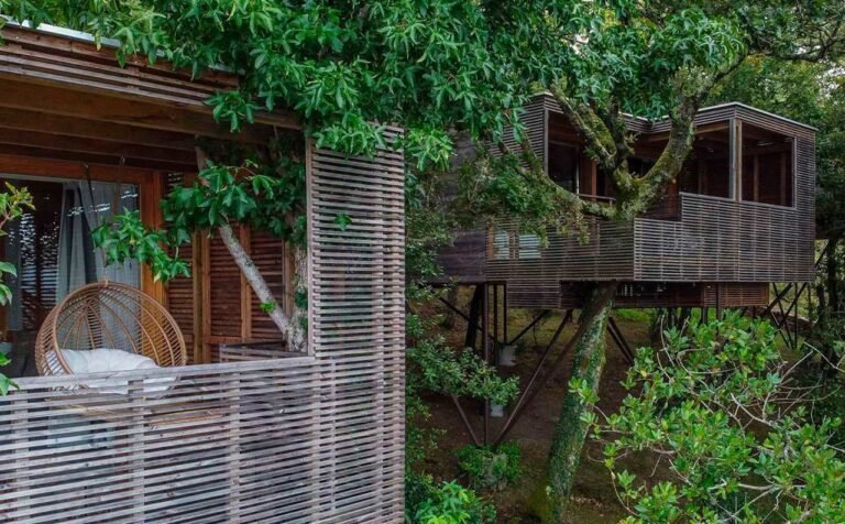 cabanas acogedoras en un bosque verde