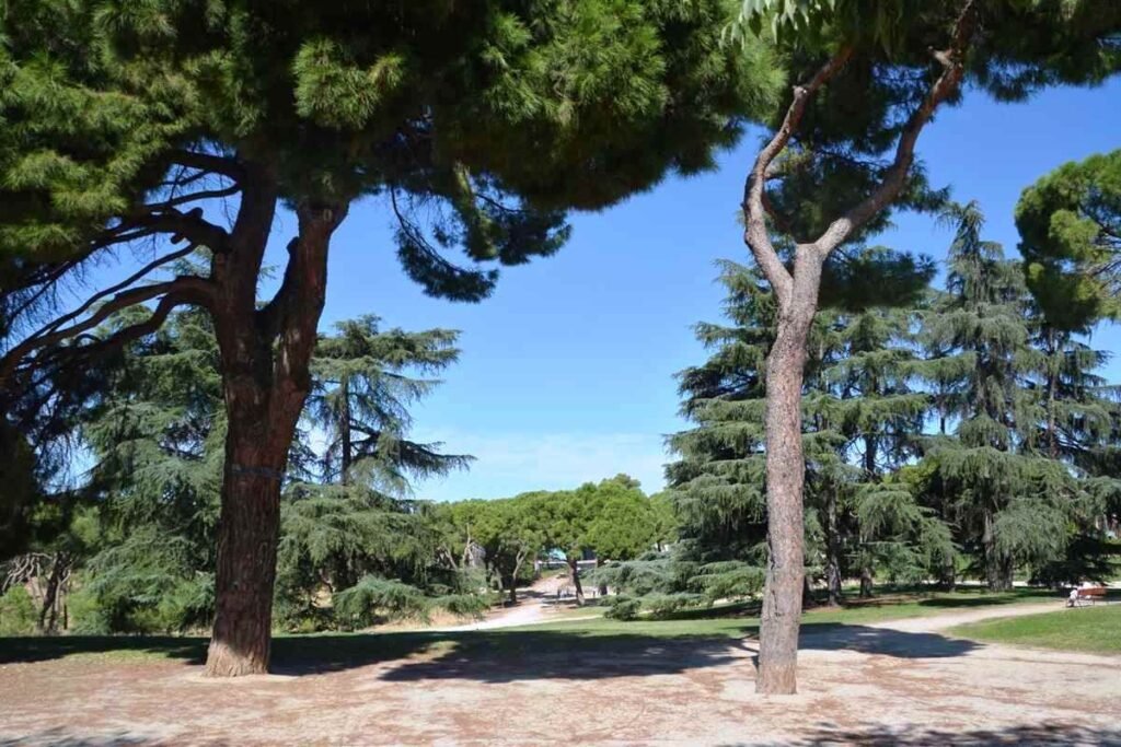 Cómo llegar al centro del Parque Villa del Parque en Buenos Aires