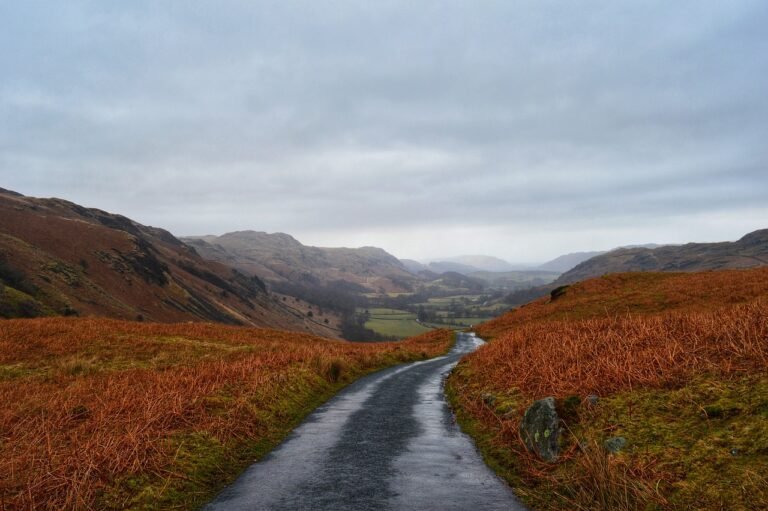 camino solitario en un paisaje vacio