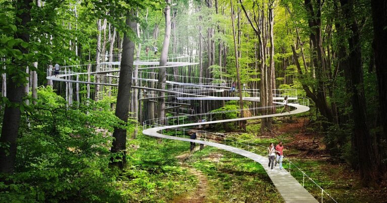 caminos entrelazados en un bosque sereno