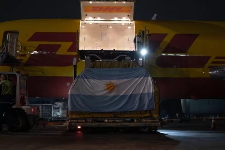 Qué servicios ofrece DHL Global Forwarding en Buenos Aires 18 camion de carga dhl en buenos aires