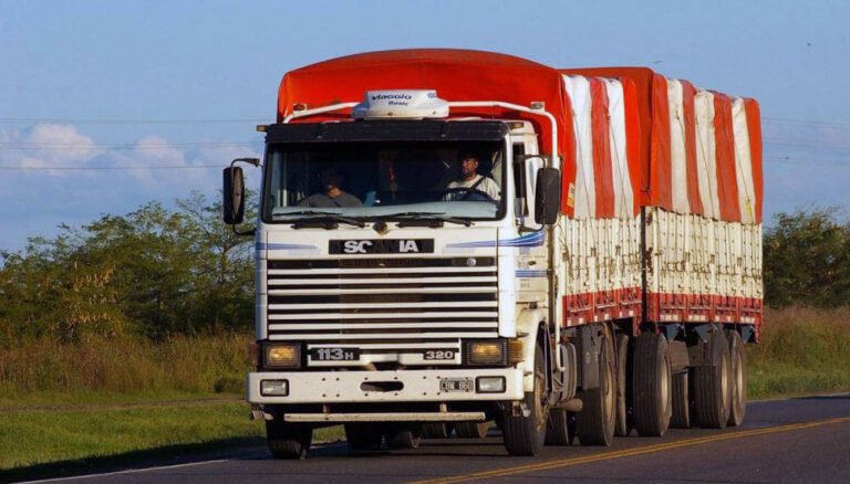 camion de carga en ruta rural argentina