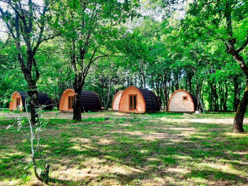 Dónde encontrar el mejor camping en el Bosque Encantado de Pehuen Co 1 camping en un bosque magico y verde