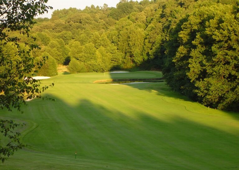 campo de golf rodeado de naturaleza verde