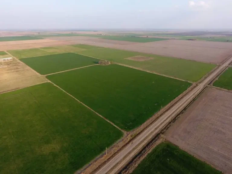 campos verdes en santa fe argentina