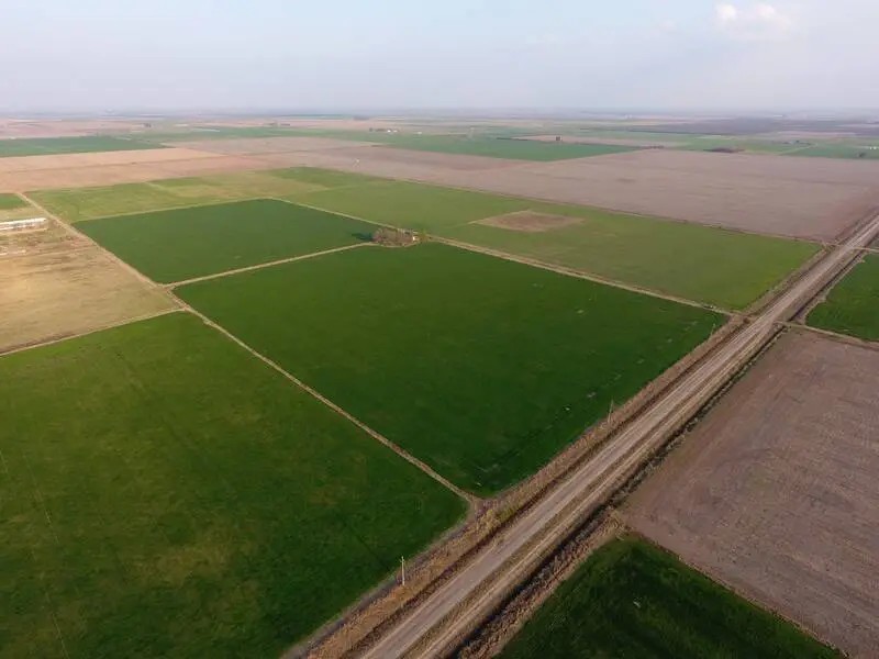 Cuánto cuesta actualmente una hectárea de campo en Santa Fe