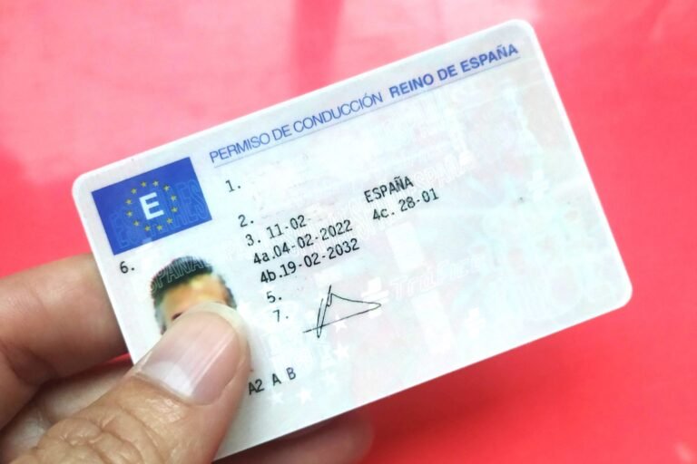 carnet de conducir en manos de un oficial