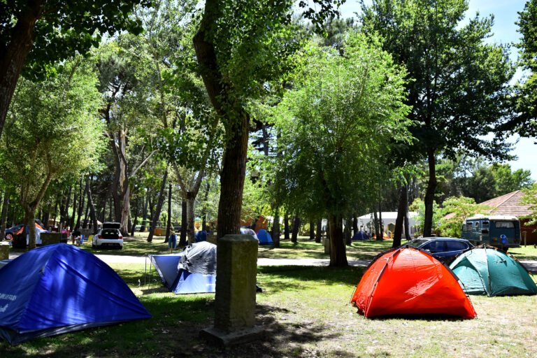 carpa junto a pileta en camping