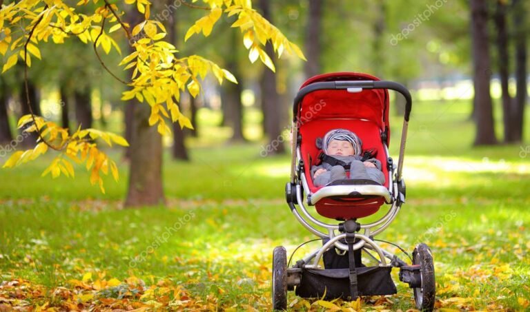 cochecito de bebe en un parque