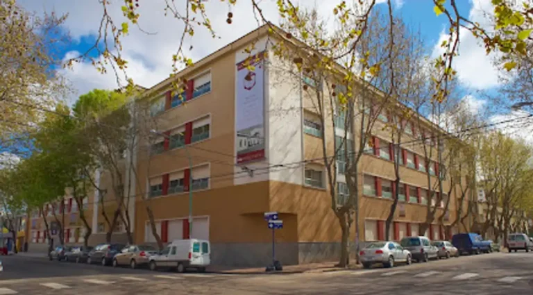 colegios modernos en mar del plata