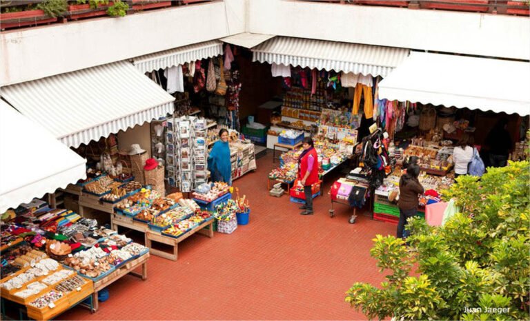 colorido mercado chileno con productos locales