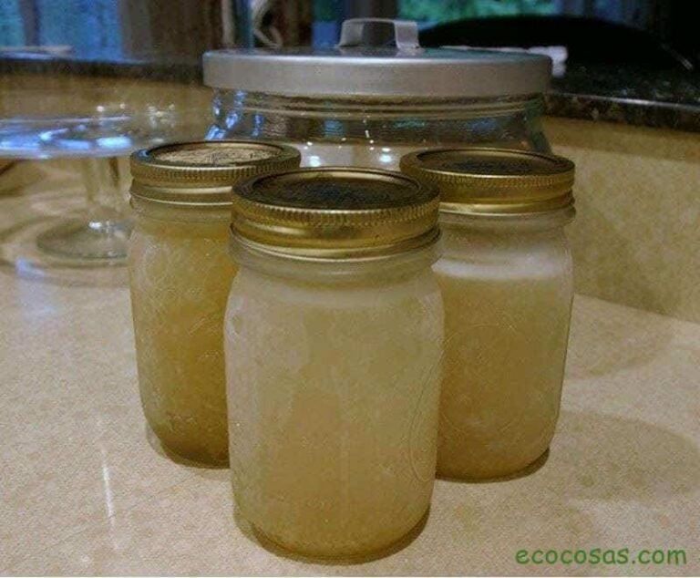 comidas congeladas en recipientes de vidrio