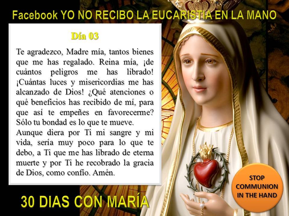 Qué significa la devoción a la Inmaculada Madre del Divino Corazón Eucarístico