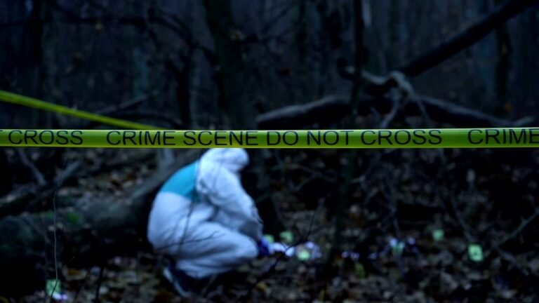 escena de crimen en un bosque oscuro