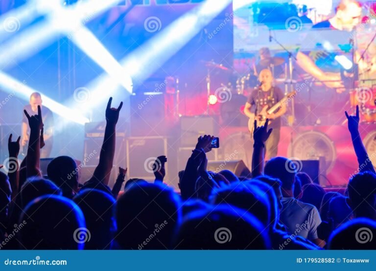 fans disfrutando de un concierto en vivo