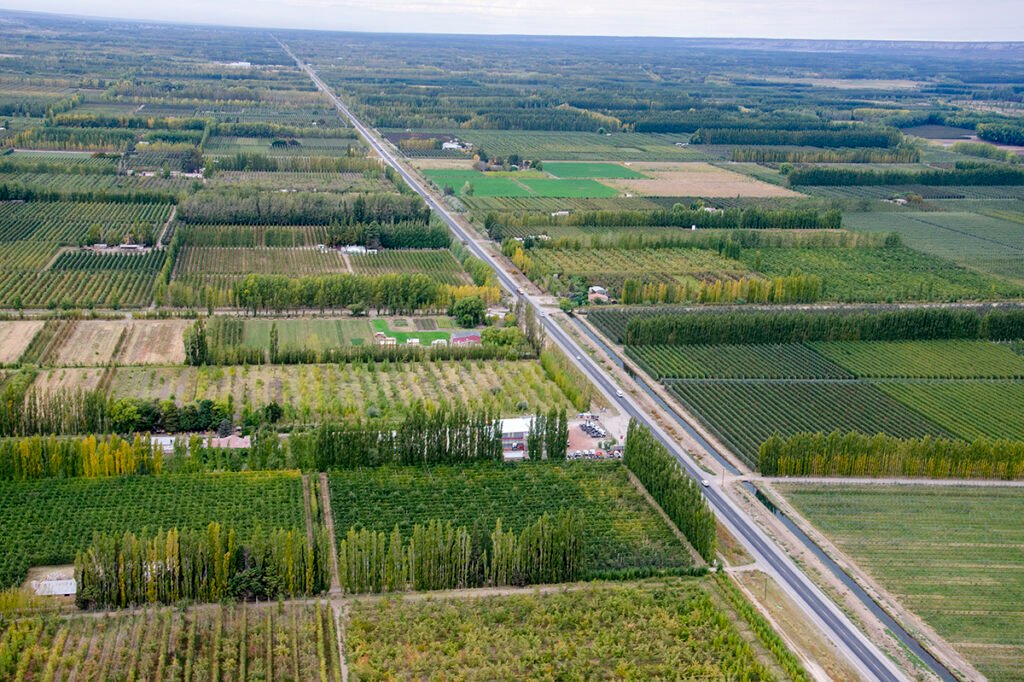 Qué oportunidades y desafíos presenta la fruticultura en el Alto Valle de Río Negro