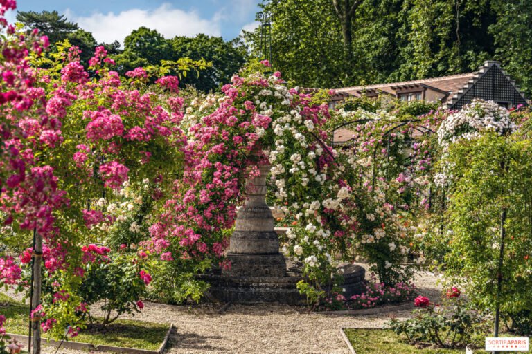 jardin municipal con flores y plantas hermosas