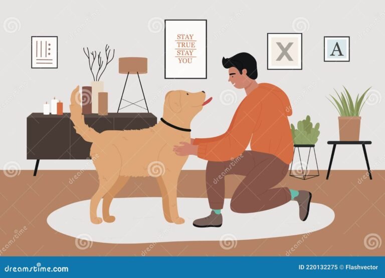 Dónde encontrar alquileres de dueño directo que acepten mascotas 29 mascota feliz en casa acogedora