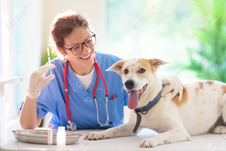 mascotas recibiendo atencion veterinaria