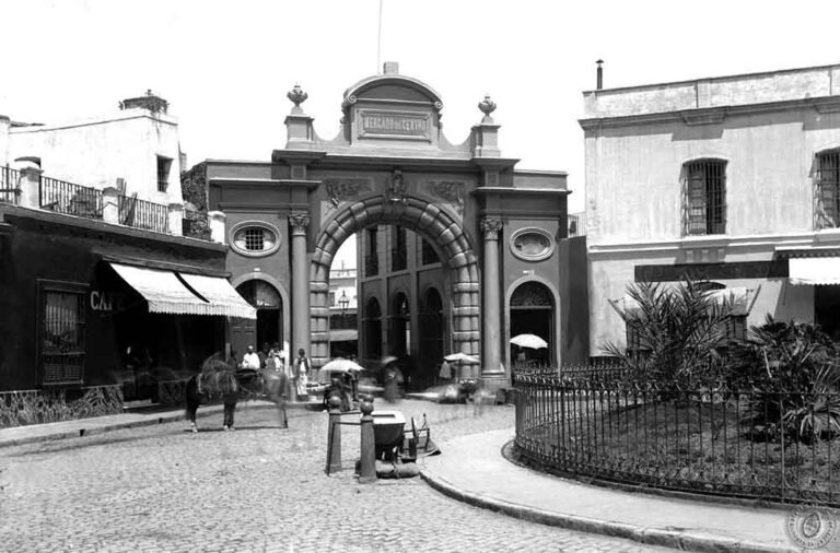 mercado de antiguedades en san antonio oeste