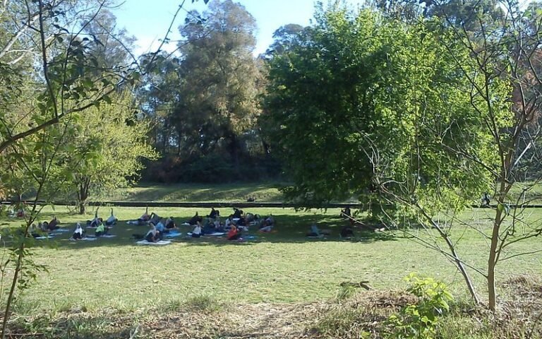 naturaleza en lomas de zamora