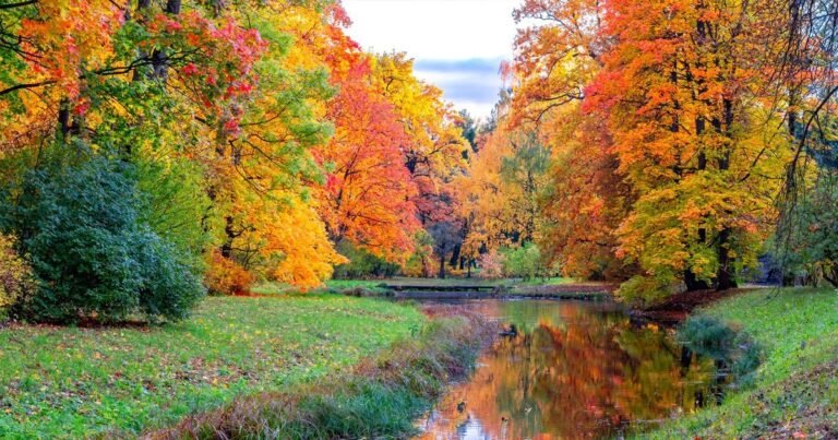 naturaleza en septiembre colores de otono