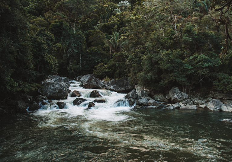 naturaleza serena en rio cuarto