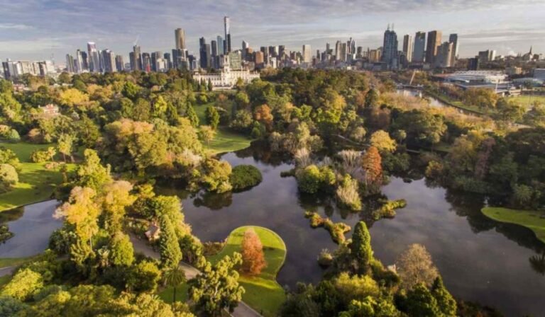 naturaleza urbana y conservacion ambiental