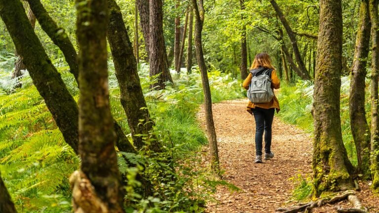 Qué actividades y atracciones ofrece Lomas del Sol en Los Reartes 4 naturaleza y actividades al aire libre 5