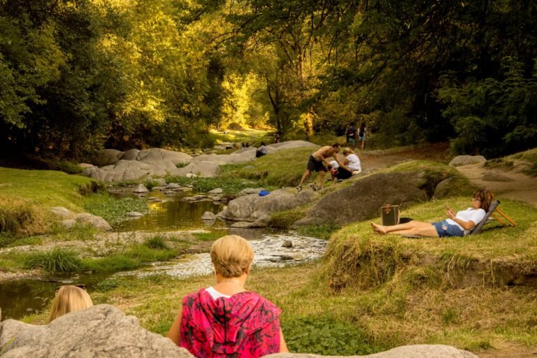 Qué es lo de Jacinto en Villa Belgrano y qué lo hace especial 8 Qué es lo de Jacinto en Villa Belgrano y qué lo hace especial