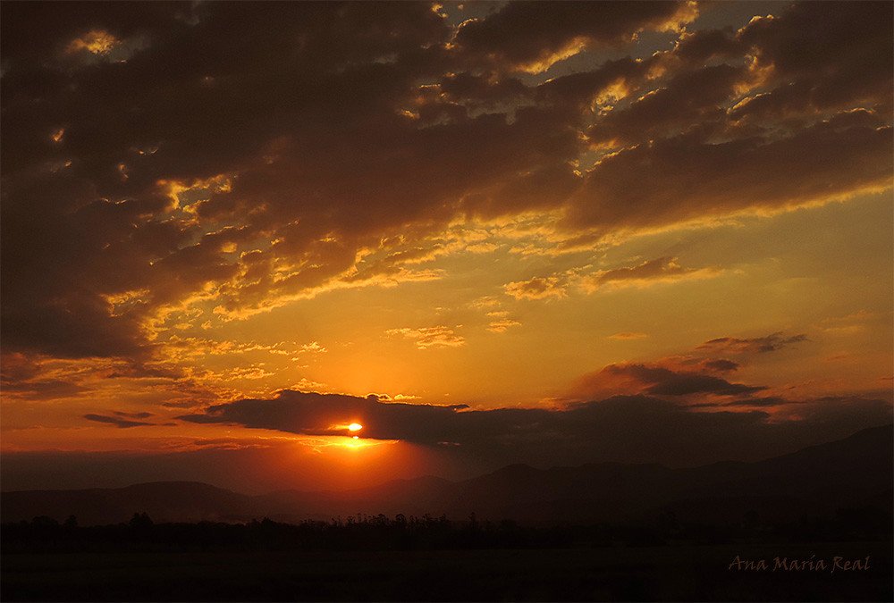Cómo consultar el clima en San Pedro de Jujuy por hora