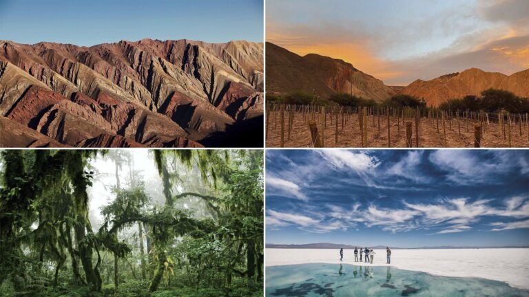 paisaje colorido de jujuy en primavera