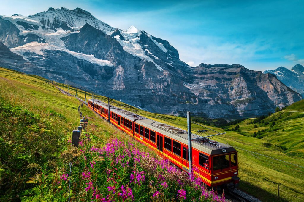 Qué actividades ofrece el Tren de Bariloche City Tour