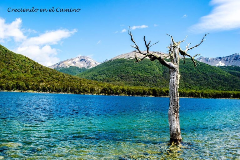 Qué lugares ideales para una escapada de fin de semana en Argentina 19 paisaje de montanas y lagos en argentina