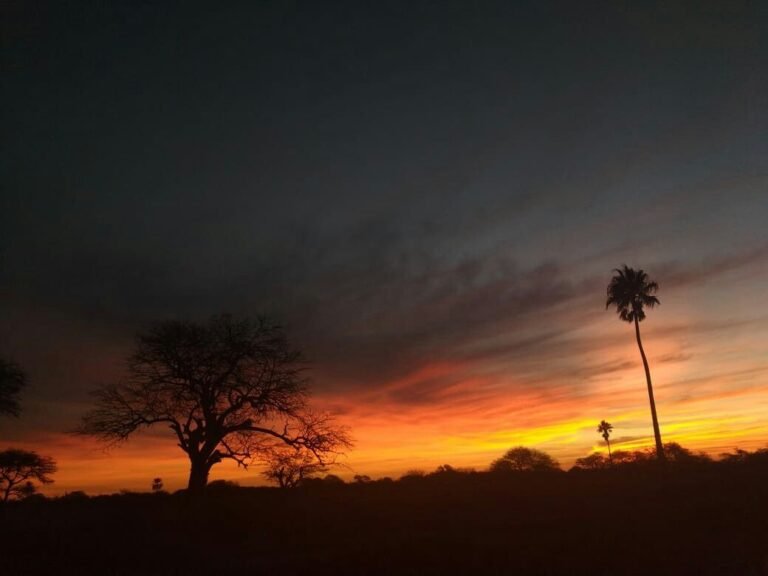 paisaje de santiago del estero al atardecer