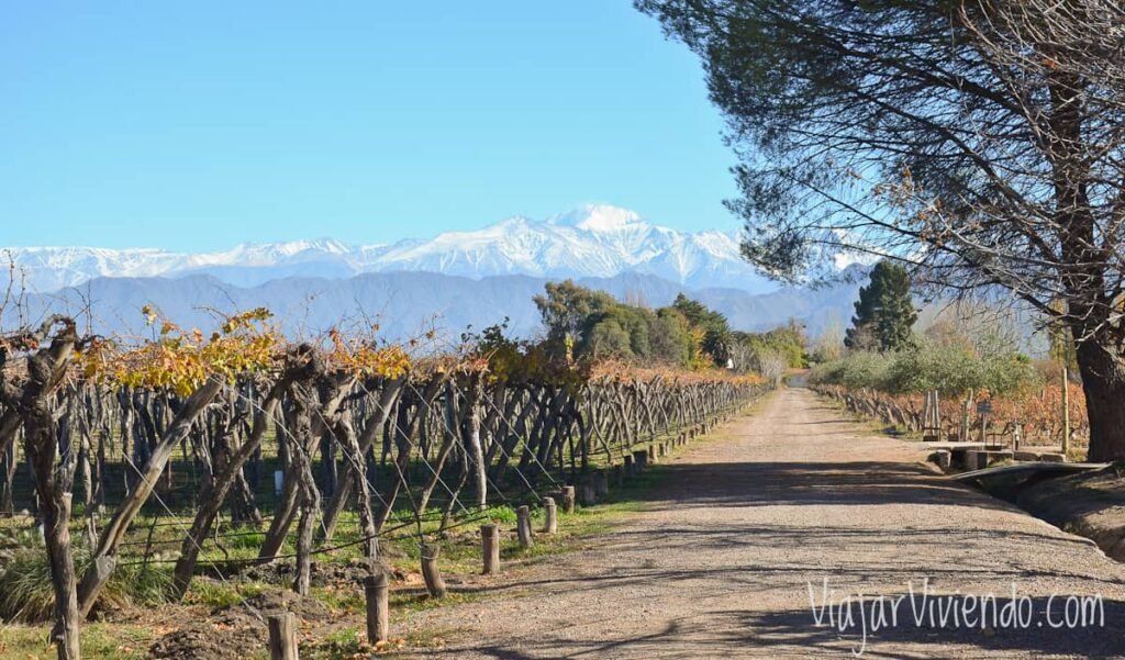 Qué actividades y lugares turísticos hay en Entre Dos Luján de Cuyo 1 paisaje de vinedos en lujan de cuyo