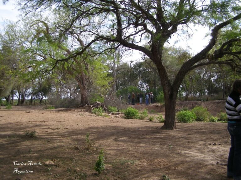 paisaje natural de pampa del indio